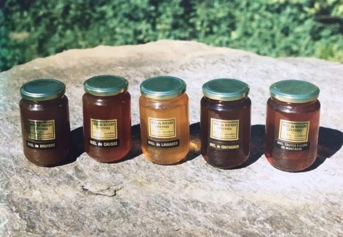 Miel des pentes du Mont Bougès